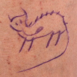 close up of tatoo of an animal